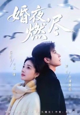 婚夜,燃尽